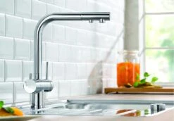 Blanco Fontas II - Miscelatore Da Lavello Con Funzione Di Filtraggio, Cromo 523128 -Staub in Italia ac9226a4a7a4822a084fb49f