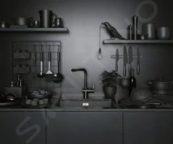 Franke Atlas Neo - Miscelatore Elettronico Da Lavello FC 5489.502, Nero 115.0625.525 -Staub in Italia b50e82aaf428aa7ce0d9a3f8